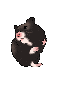 Hamster Sticker