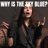 Sarcastic Sarcasm GIF