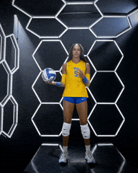 H2P Pitt Volleyball GIF by Pitt Panthers