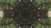 Art Love GIF by jorgemariozuleta