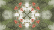 Art Love GIF by jorgemariozuleta