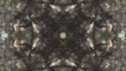 Art Love GIF by jorgemariozuleta