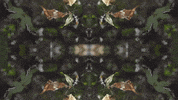 Art Love GIF by jorgemariozuleta