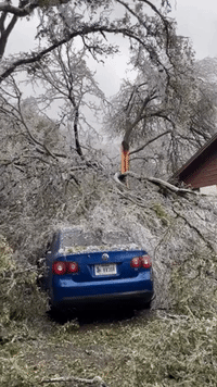 Tree Falls On Vehicle as Winter Storm Sweeps Austin