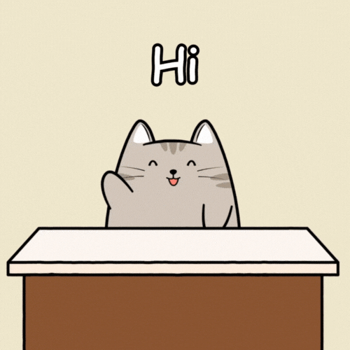 Happy Cat GIF by MESA My Emotional Support Animal