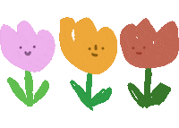 lazysuesue flower bloom blossom tulip Sticker