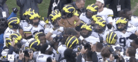 Go Blue Michigan Football GIF by Michigan Athletics