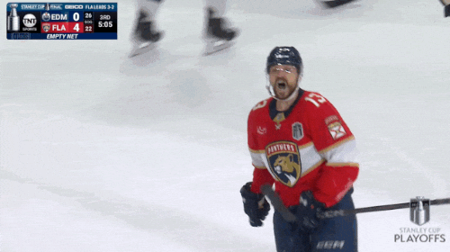 Stanley Cup Playoffs Win GIF by NHL