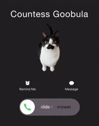 Phone Call Kitty GIF