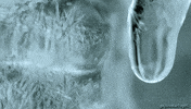 Water Ice GIF