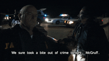 Hank Schrader Mcgruff GIF by Better Call Saul
