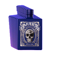 Skull Gin Sticker by Vini Delea
