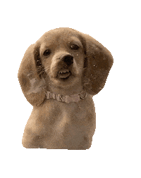 Good Morning Dog Sticker