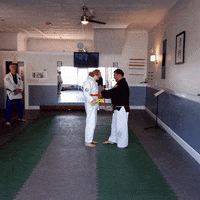 ajjmaplewood promotion ajjmaplewood GIF