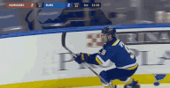 st louis sport GIF by St. Louis Blues
