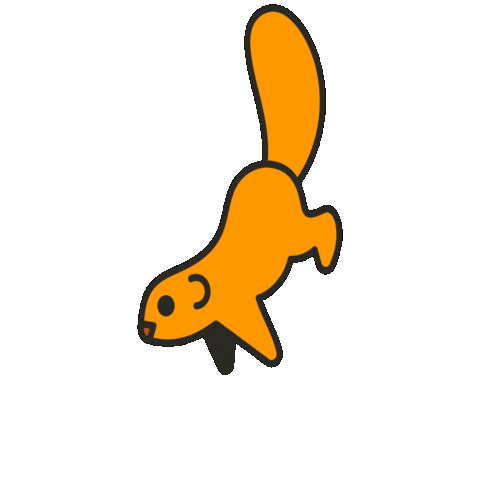 maevechocolate giphygifmaker animal squirrel maeve Sticker