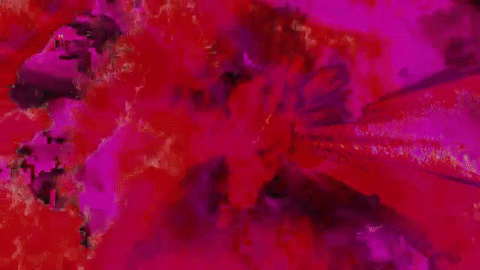 glitch processing GIF by Death Orgone