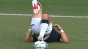 World Rugby Sport GIF by Rugby World Cup