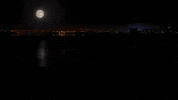 fox tv help GIF by 9-1-1 on FOX