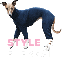 Lolly The Whippet Sticker