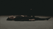 Model Whatever GIF by Charlotte Cardin