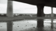 skate skateboarding GIF by EchoBoom Sports