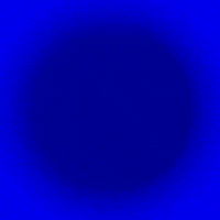 Election Day Win GIF by INTO ACTION