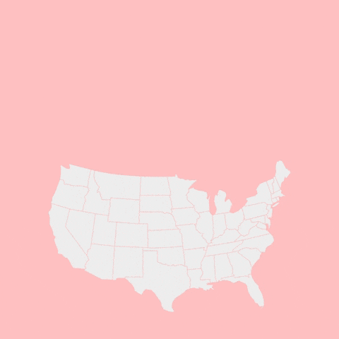 United America GIF by RedPocket