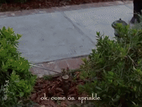 season 3 netflix GIF by Gilmore Girls 