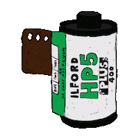 Film Camera Sticker
