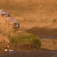 Wrc GIF by FIA World Rally Championship