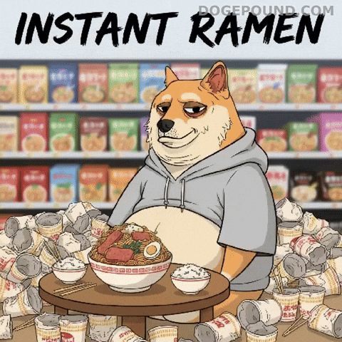 Hungry Instant Ramen GIF by Doge Pound