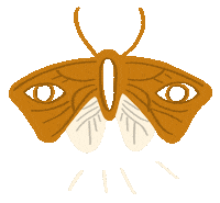 Fall Season Sticker