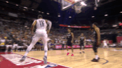 jeff ayres summer GIF by NBA