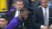 lebron james lal GIF by NBA