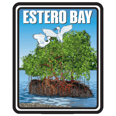 Aquatic Preserve Sticker by FLDEP