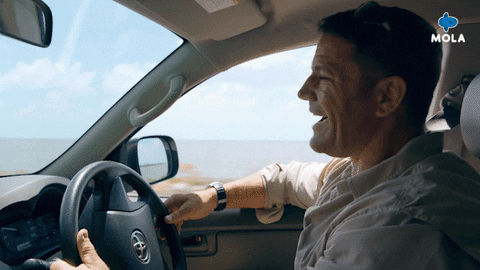 Happy On The Way GIF by MolaTV