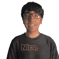 Nico Nikko Sticker