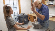 season 8 DRPOL GIF by Nat Geo Wild 
