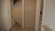 door GIF