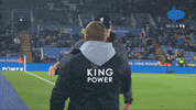 Fans Liverpool GIF by MolaTV