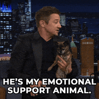 Dog Puppy GIF by The Tonight Show Starring Jimmy Fallon