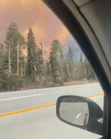 Caldor Fire Grows to Over 177,000 Acres Near South Lake Tahoe, California
