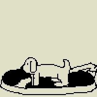 dog GIF by Dan Anthony Kelly