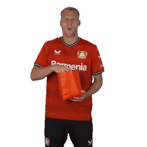 Excited Football Sticker by Bayer 04 Leverkusen