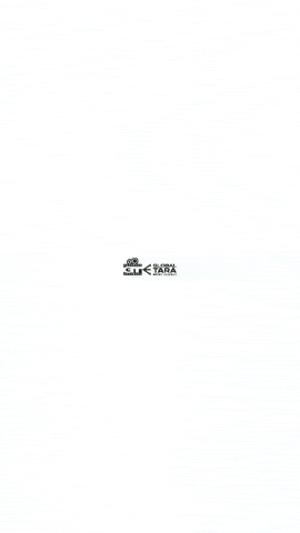 Islam Eid GIF by Global Tara Entertainment