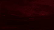 Afas Stadion Wit GIF by AZ Alkmaar
