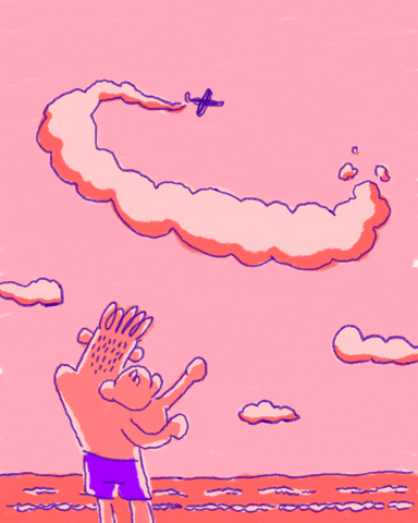 dibugabu giphyupload beach sunset plane GIF