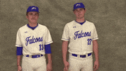 Cuw GIF by CUWFalcons