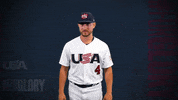 Pro GIF by USA Baseball